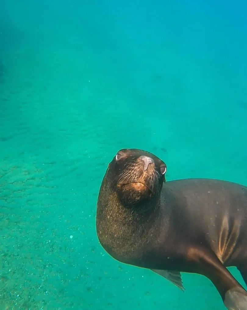 Paisaje de montaña 10