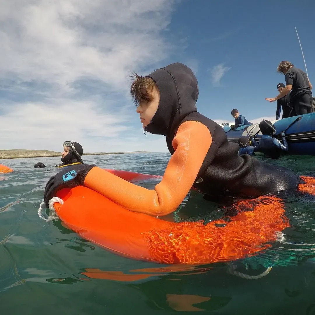 Paisaje de montaña 11