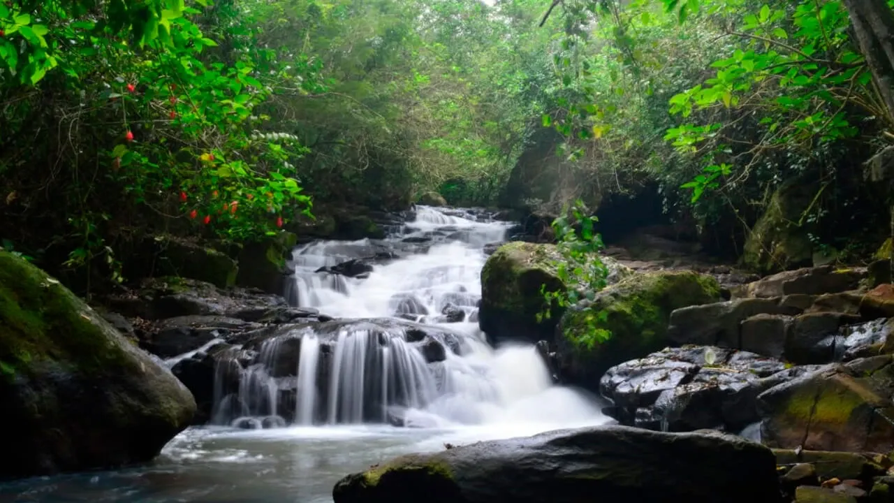 Paisaje de montaña 9