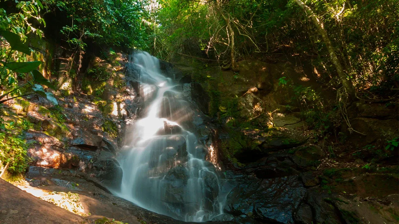 Paisaje de montaña 8