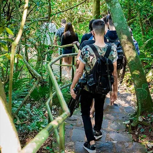 Paisaje de montaña 14