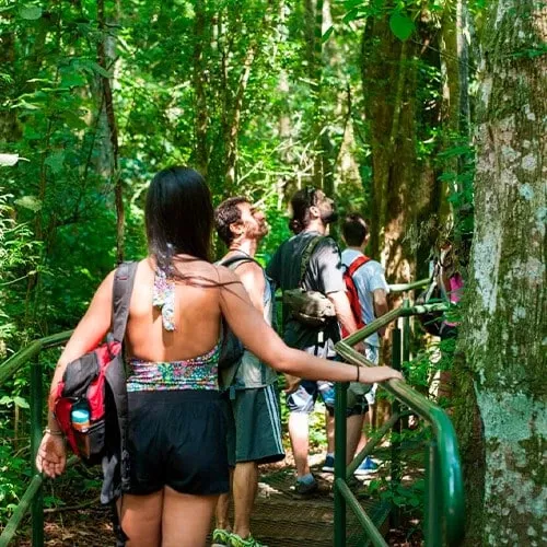 Paisaje de montaña 5