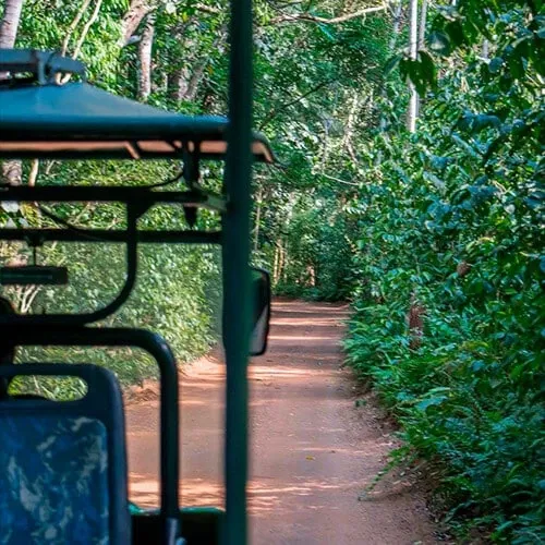 Paisaje de montaña 14