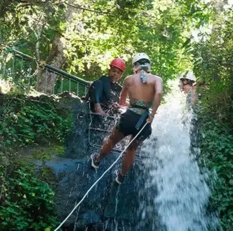 Paisaje de montaña 17