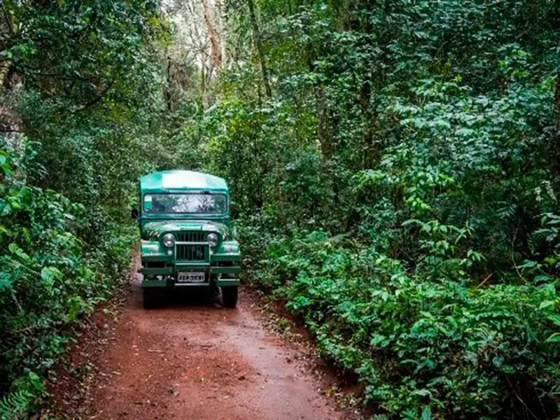 Paisaje de montaña 3