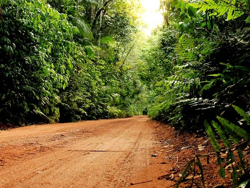 Paisaje de montaña 6