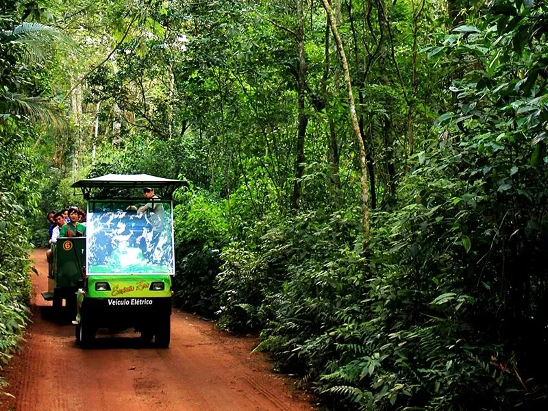 Paisaje de montaña 7