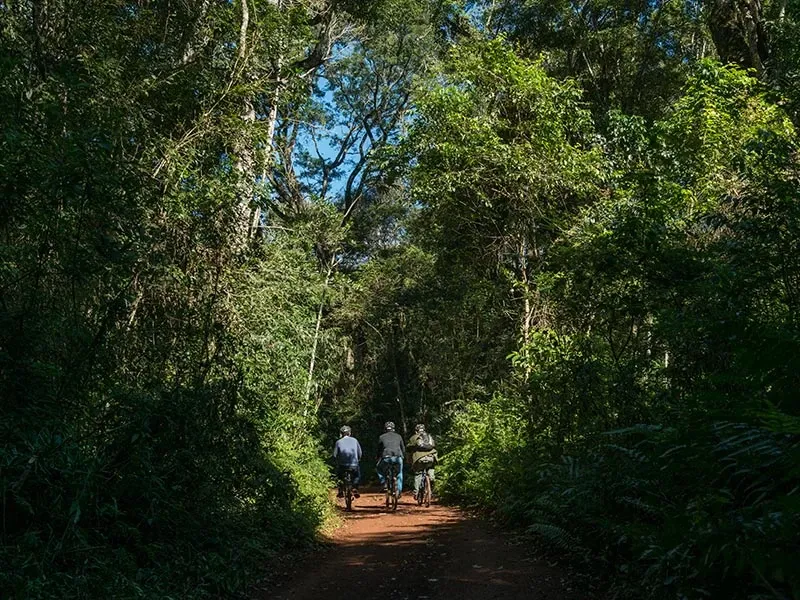 Paisaje de montaña 8