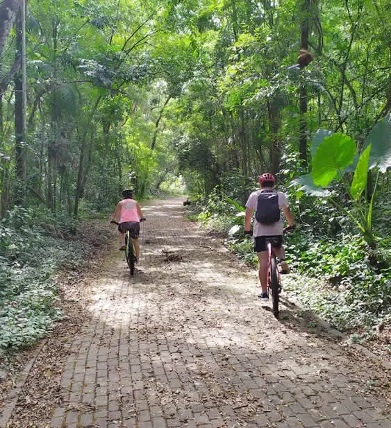 Paisaje de montaña 9