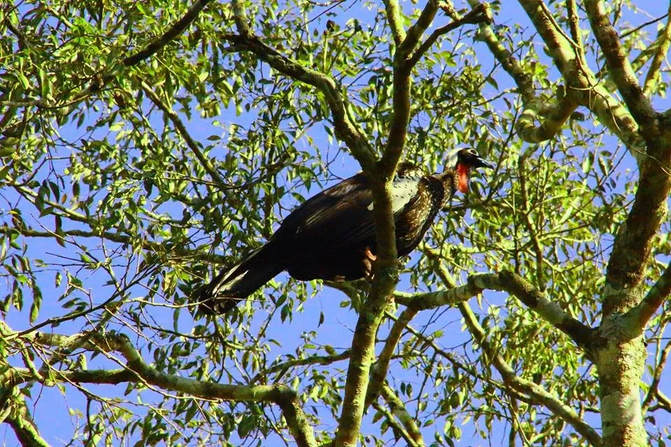 Paisaje de montaña 7