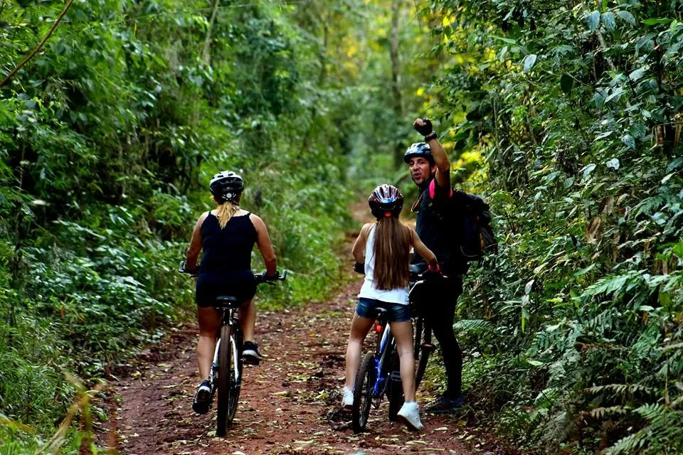 Paisaje de montaña 8