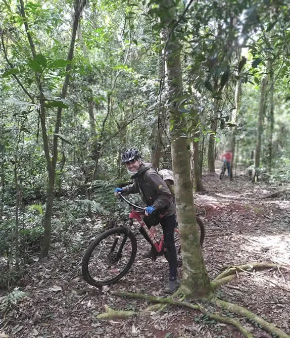 Paisaje de montaña 11