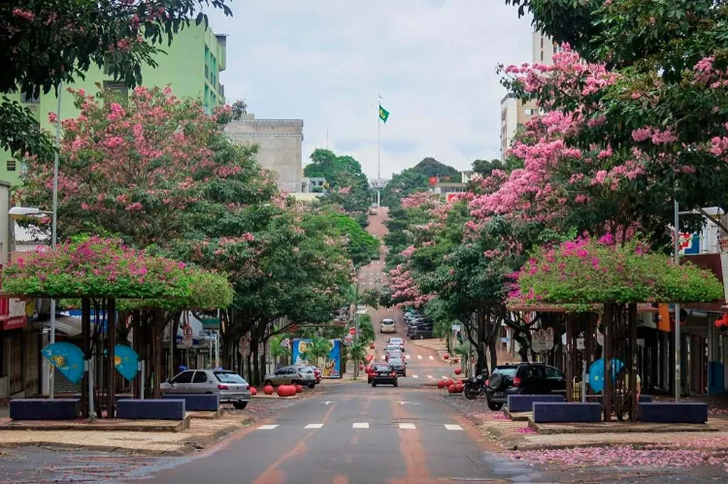 Paisaje de montaña 8