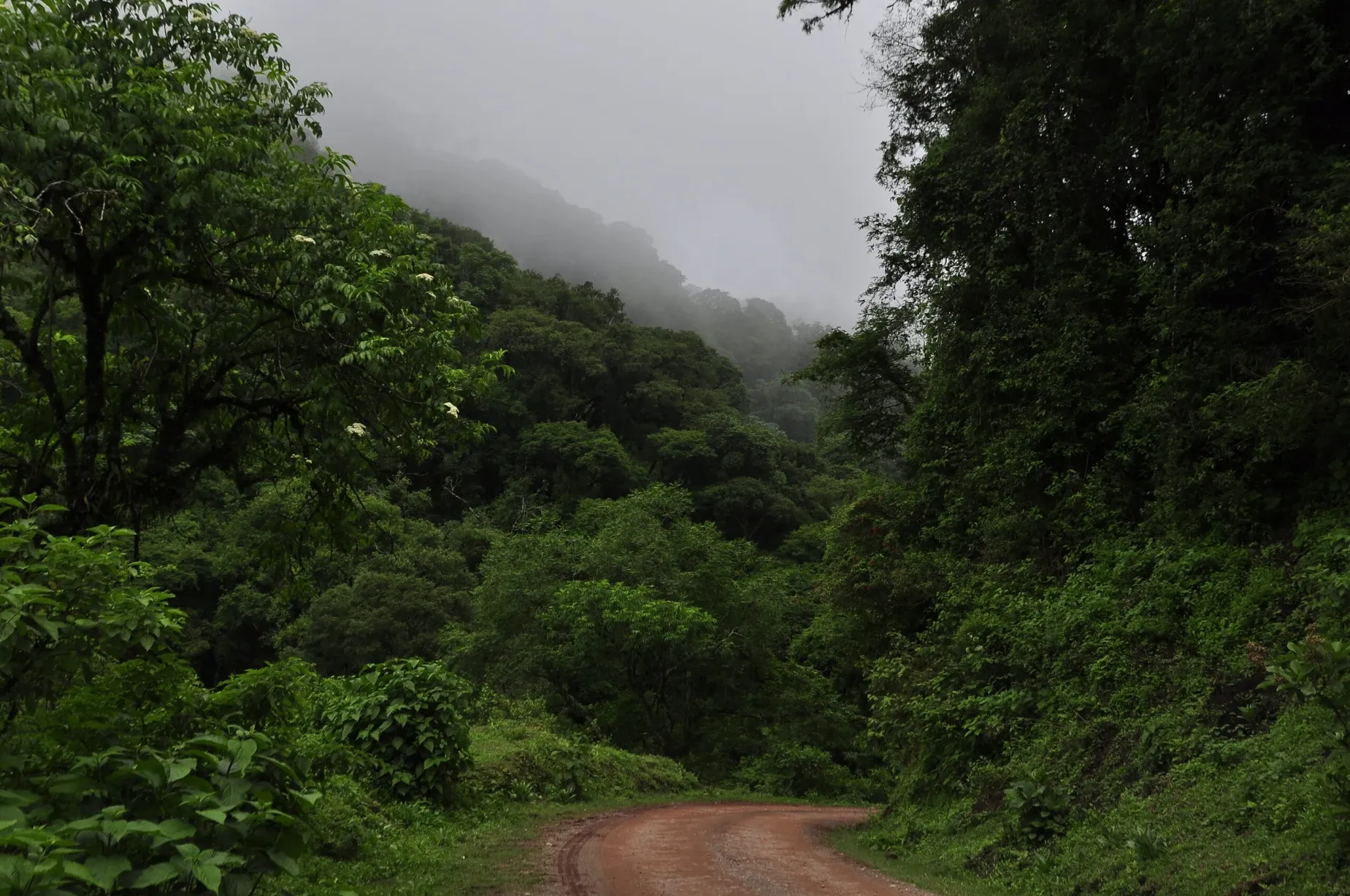 Paisaje de montaña 4