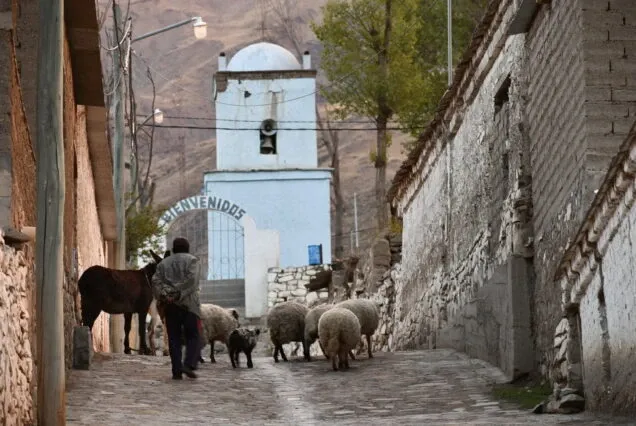 Paisaje de montaña 12