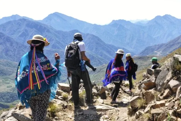 Paisaje de montaña 14