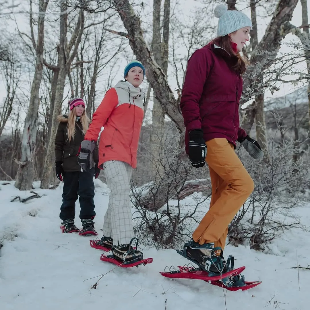 Paisaje de montaña 5