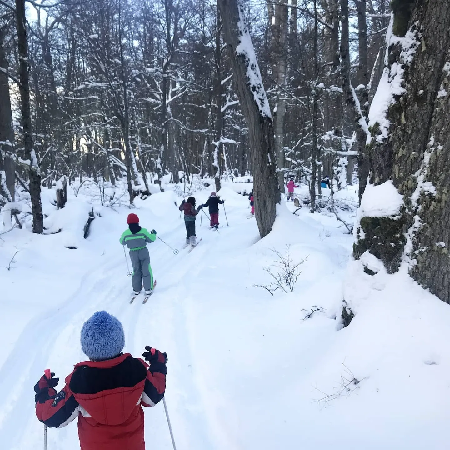 Paisaje de montaña 7