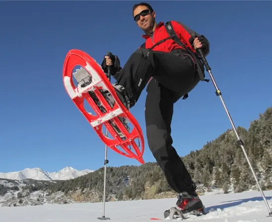 Paisaje de montaña 19