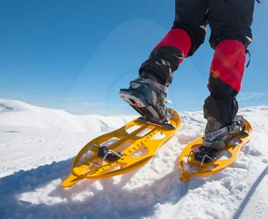 Paisaje de montaña 20