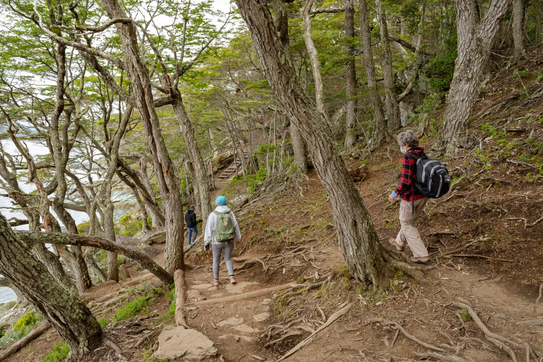 Paisaje de montaña 5