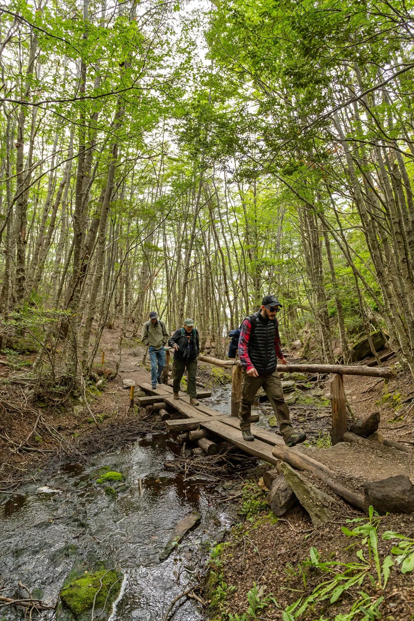 Paisaje de montaña 7