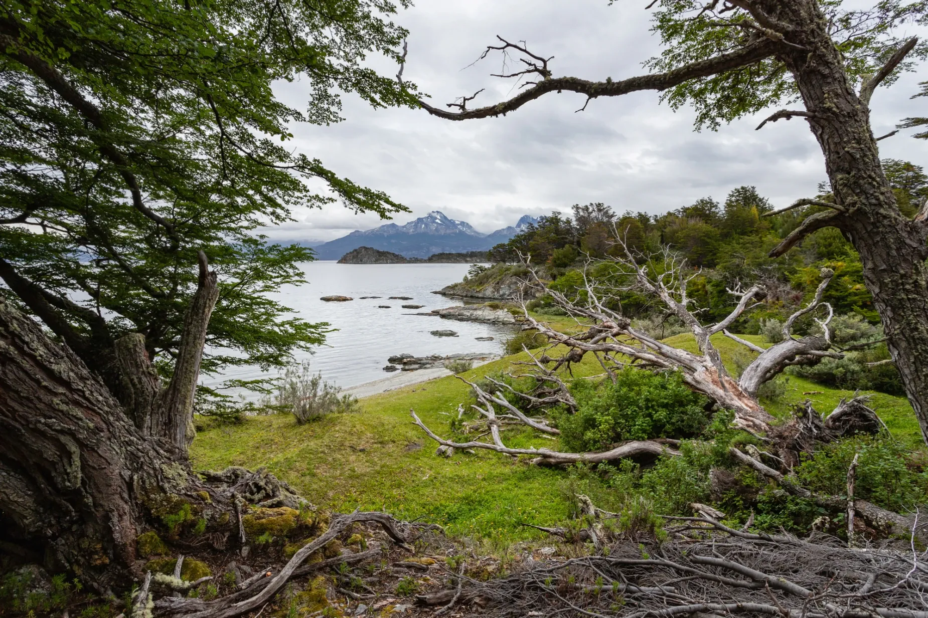 Paisaje de montaña 10