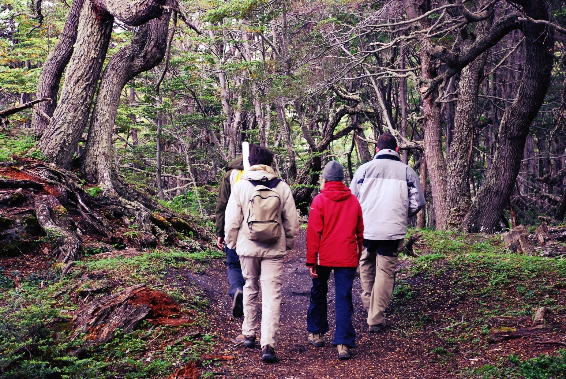 Paisaje de montaña 27