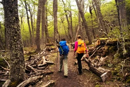 Paisaje de montaña 30