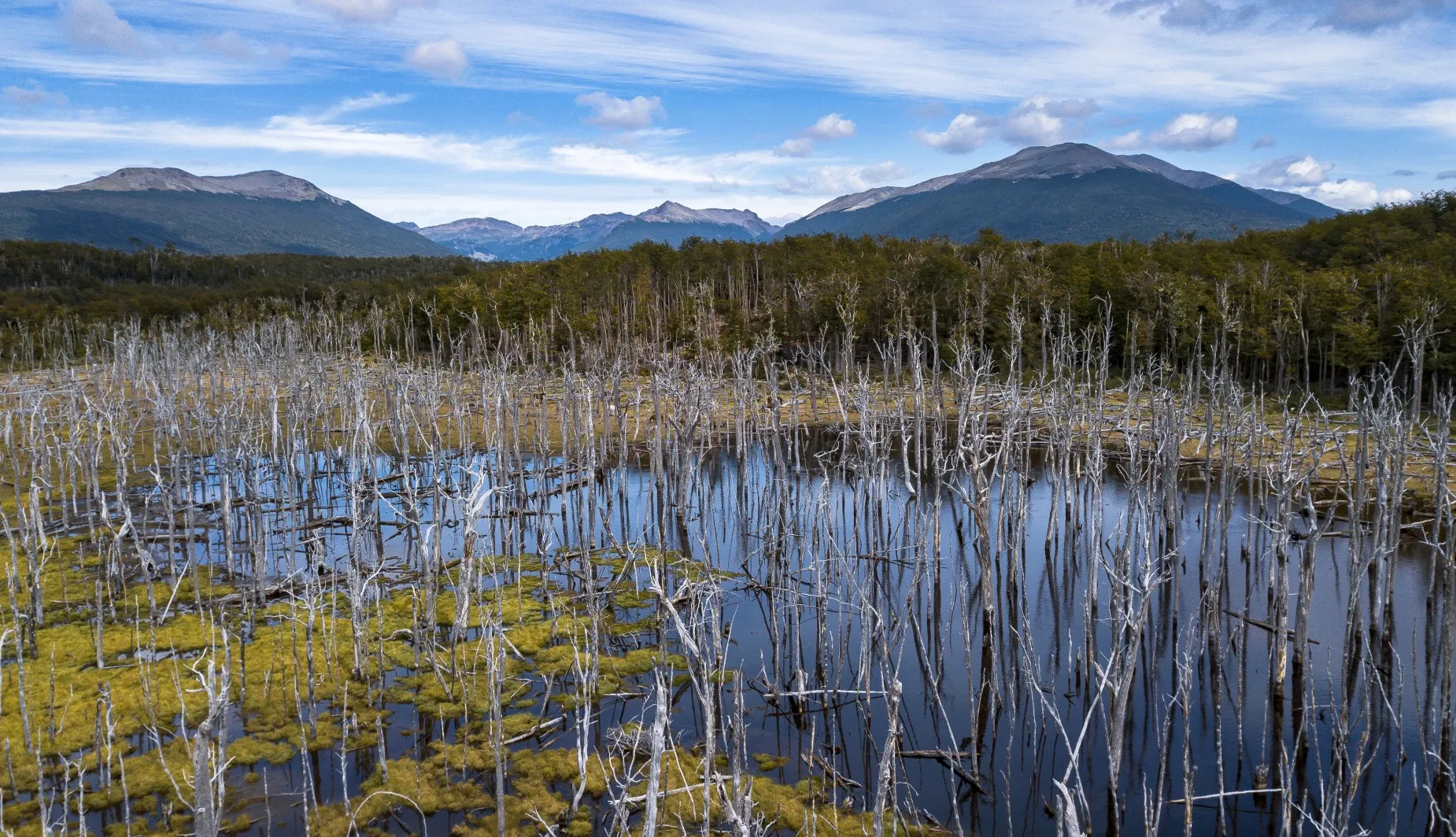 Paisaje de montaña 6
