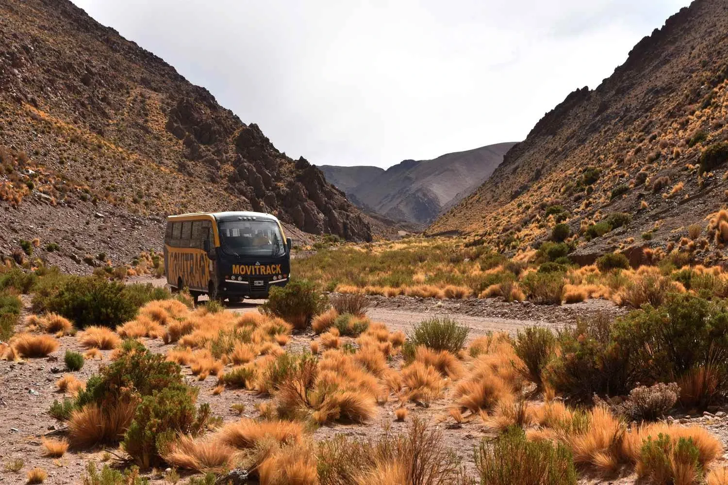 Paisaje de montaña 11