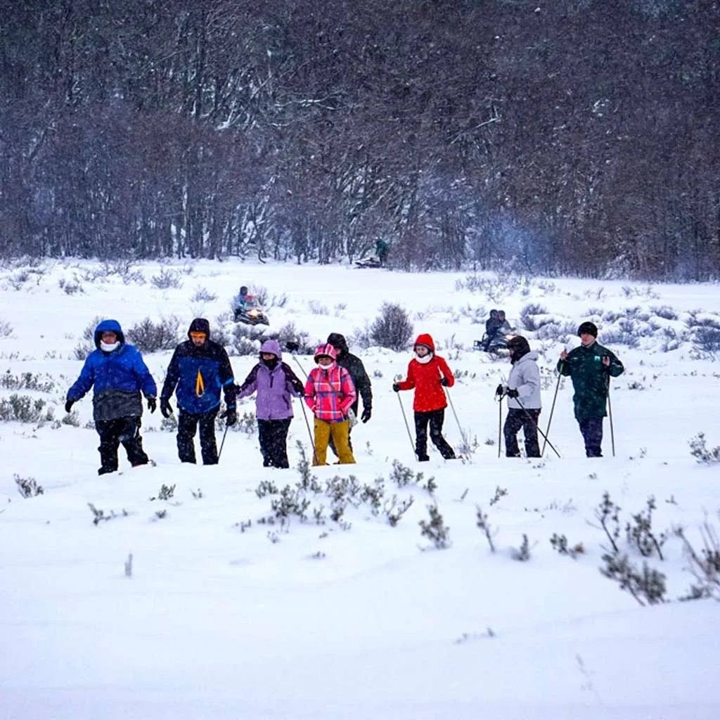 Paisaje de montaña 3