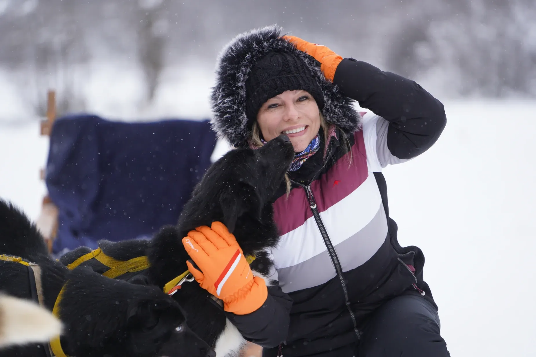 Paisaje de montaña 20