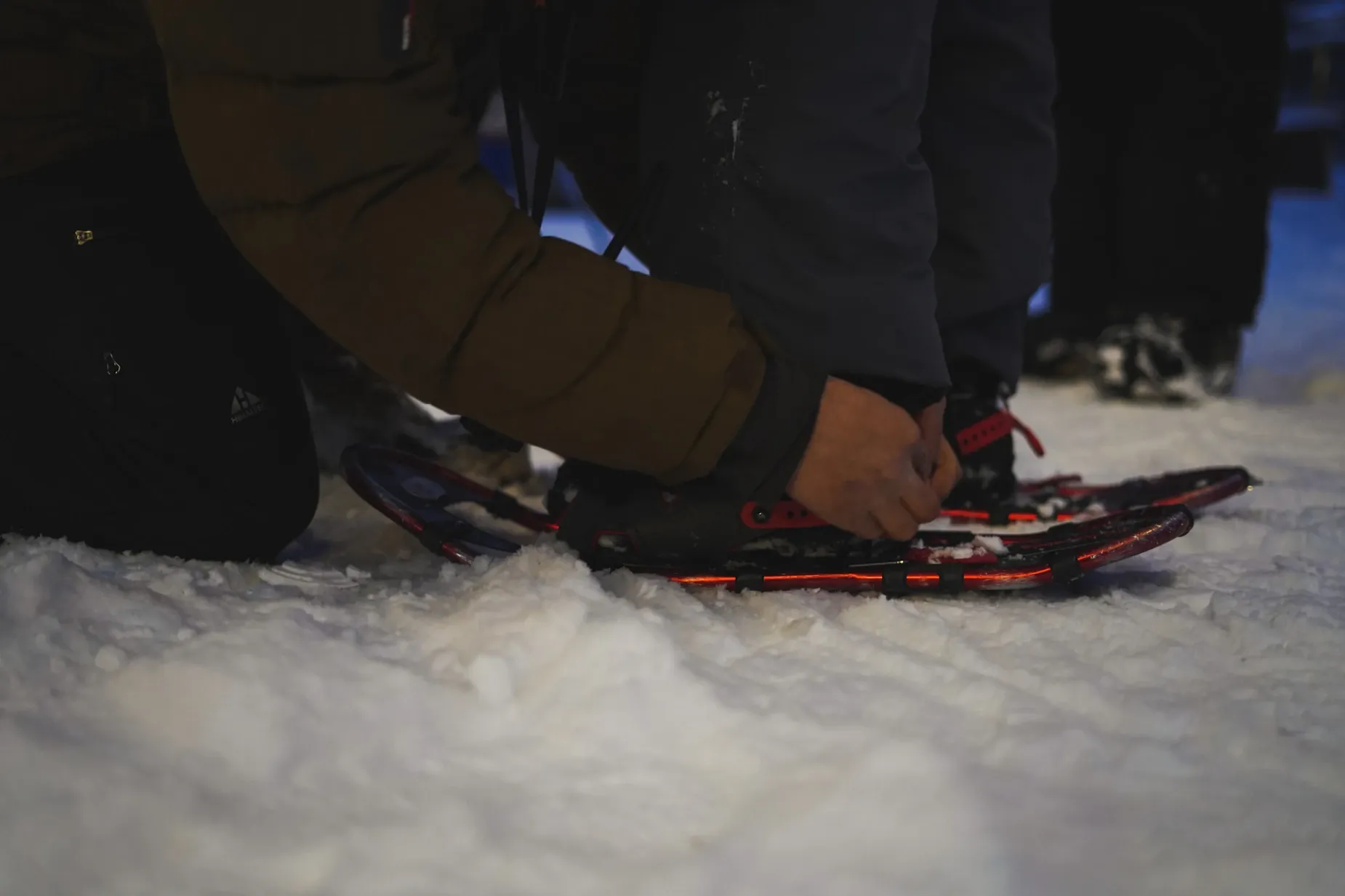 Paisaje de montaña 11