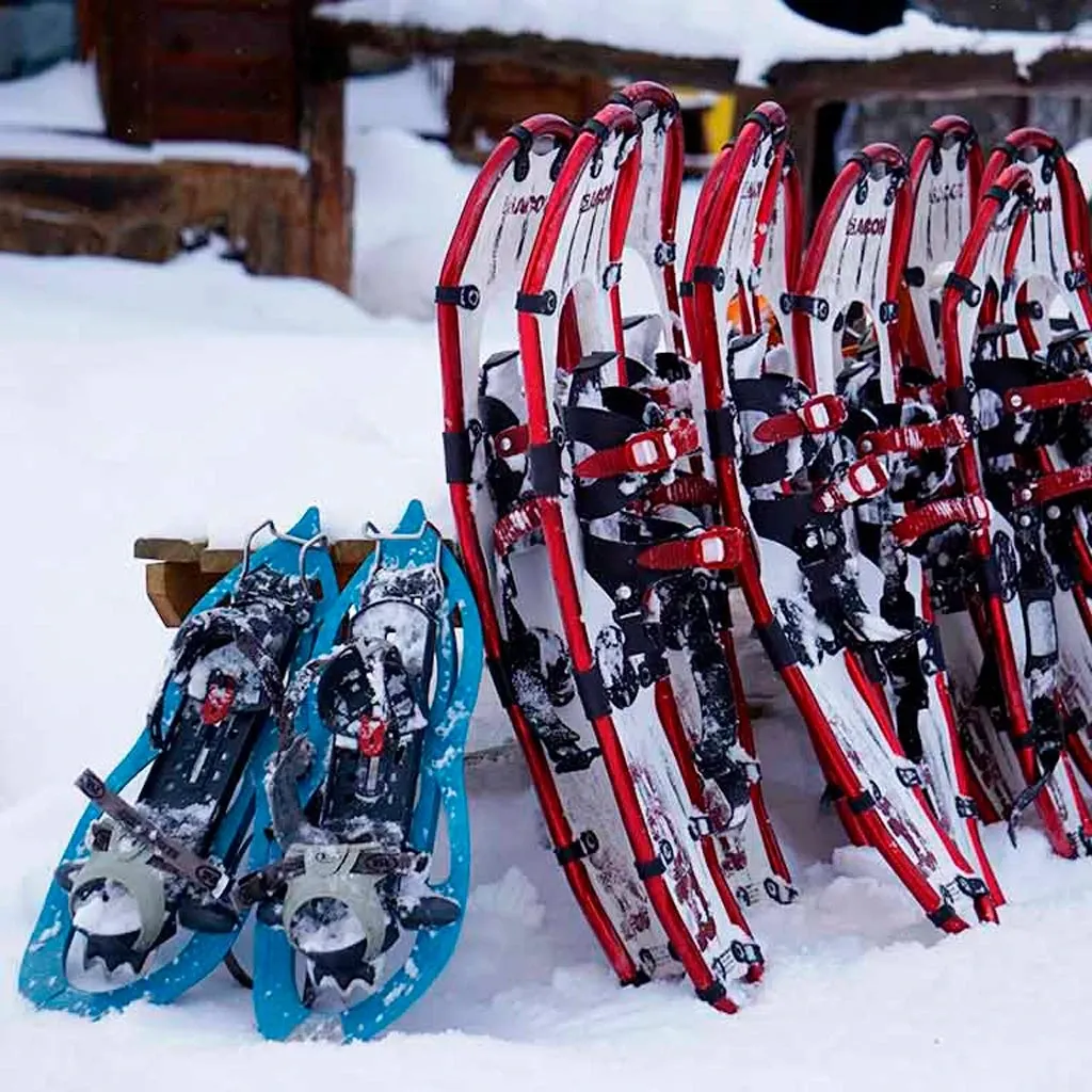 Paisaje de montaña 15