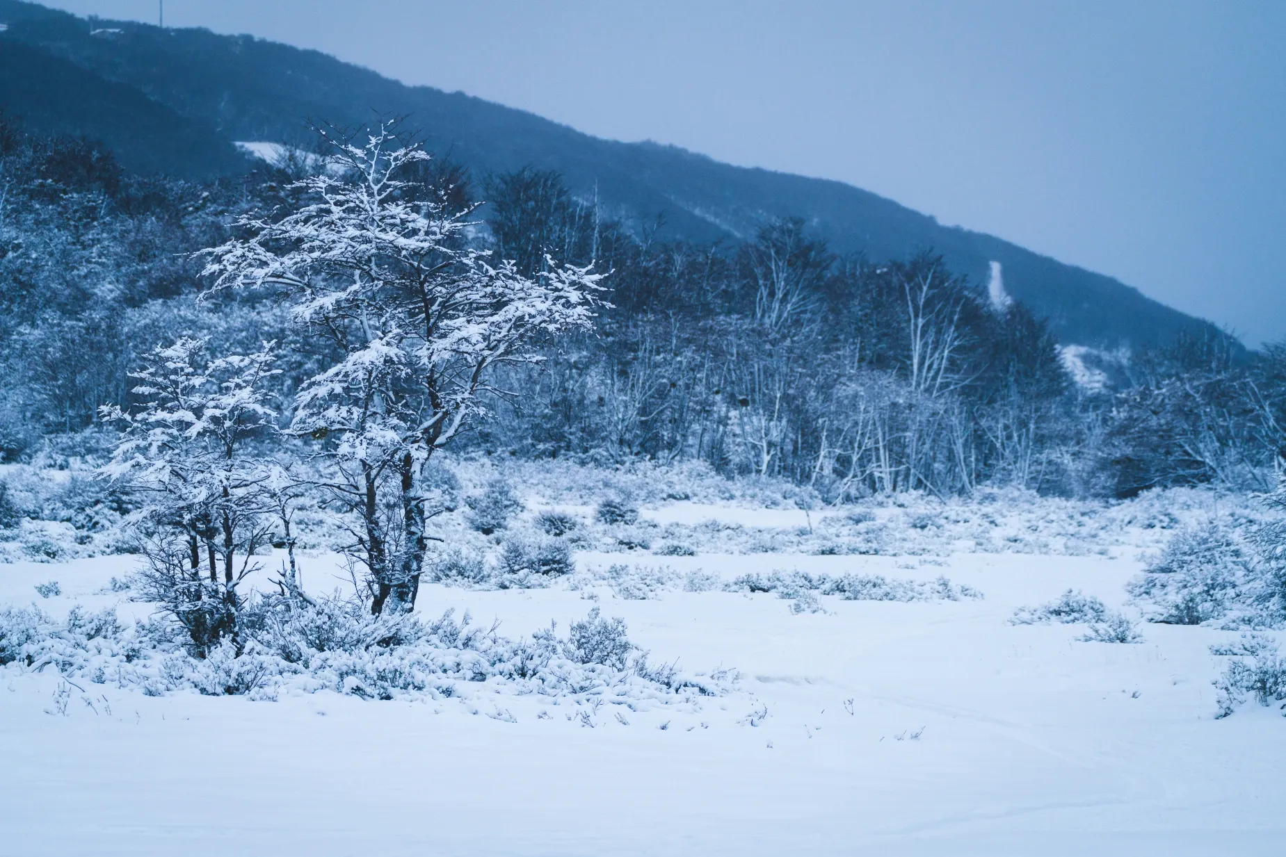 Paisaje de montaña 8