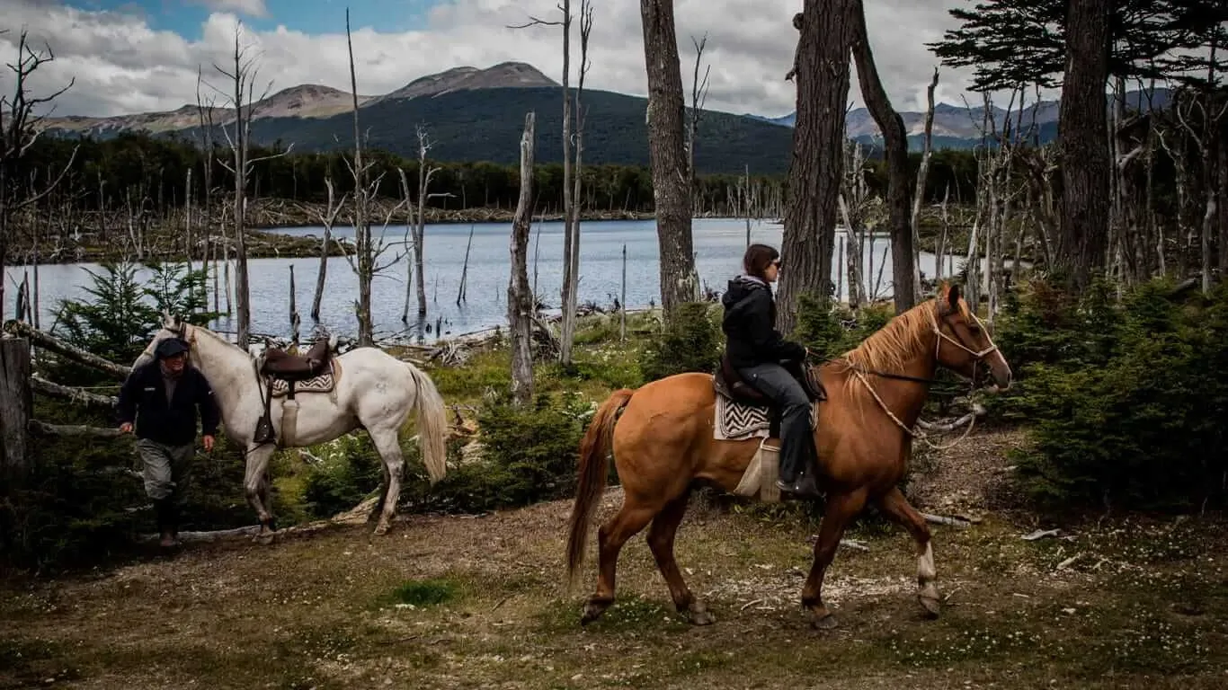 Paisaje de montaña 7