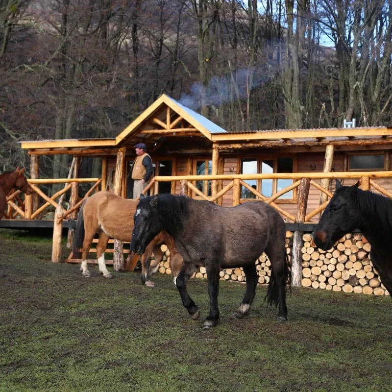 Paisaje de montaña 8