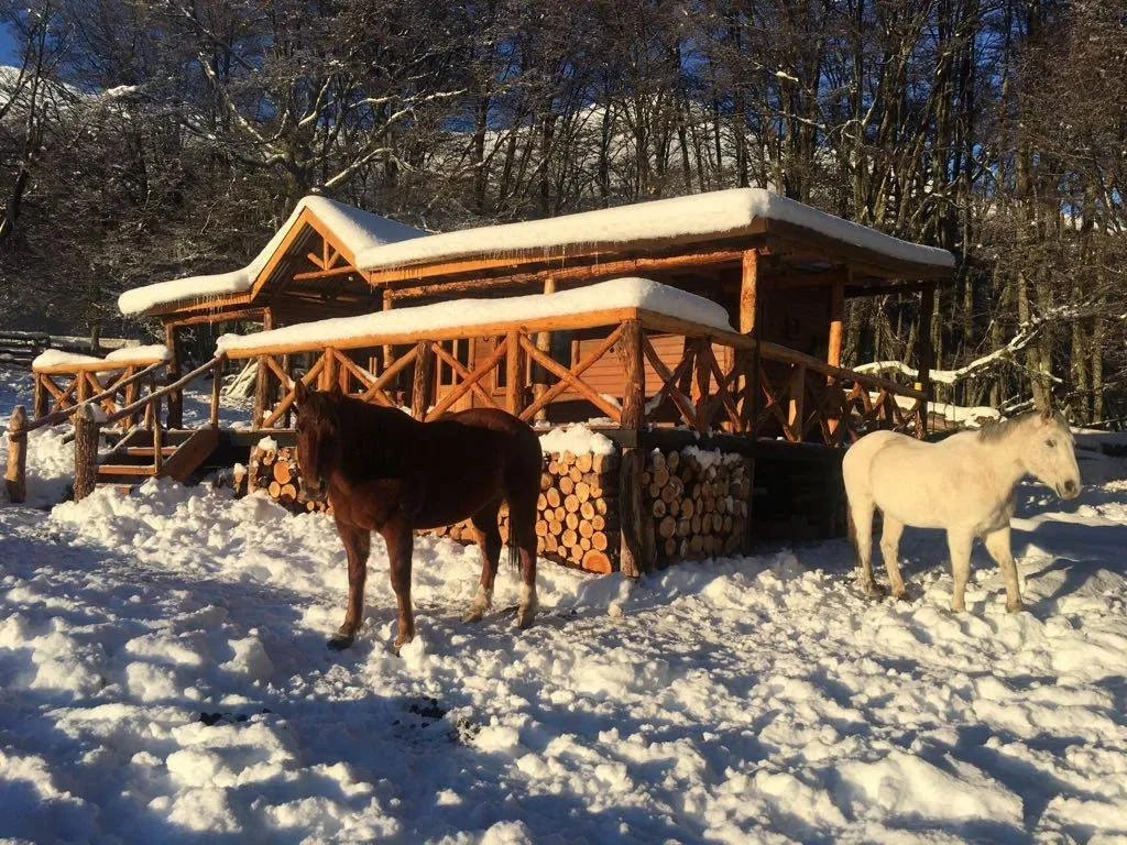 Paisaje de montaña 9