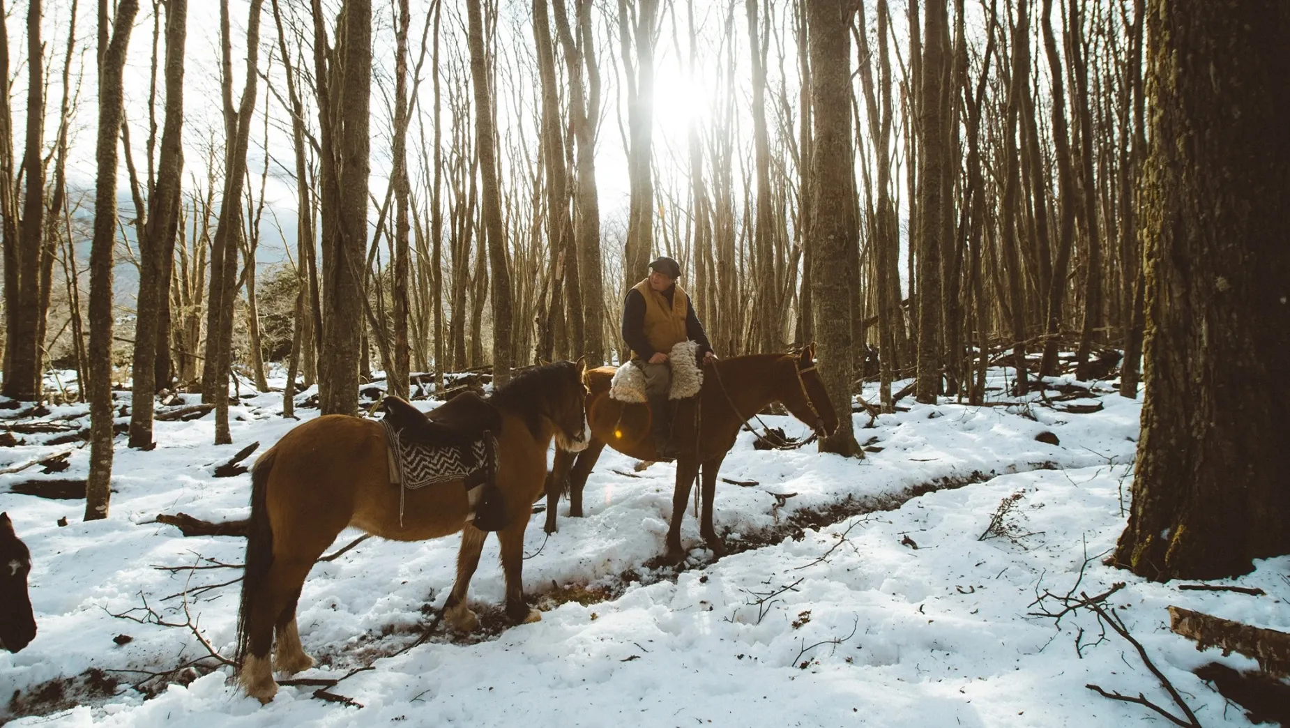 Paisaje de montaña 10