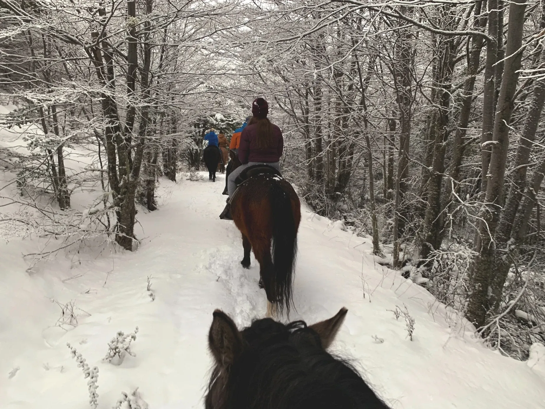 Paisaje de montaña 11