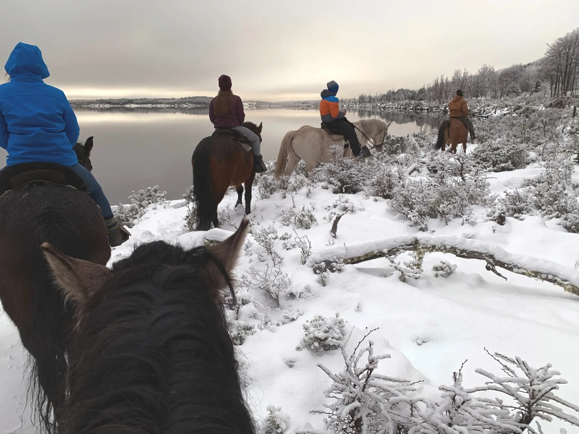 Paisaje de montaña 12