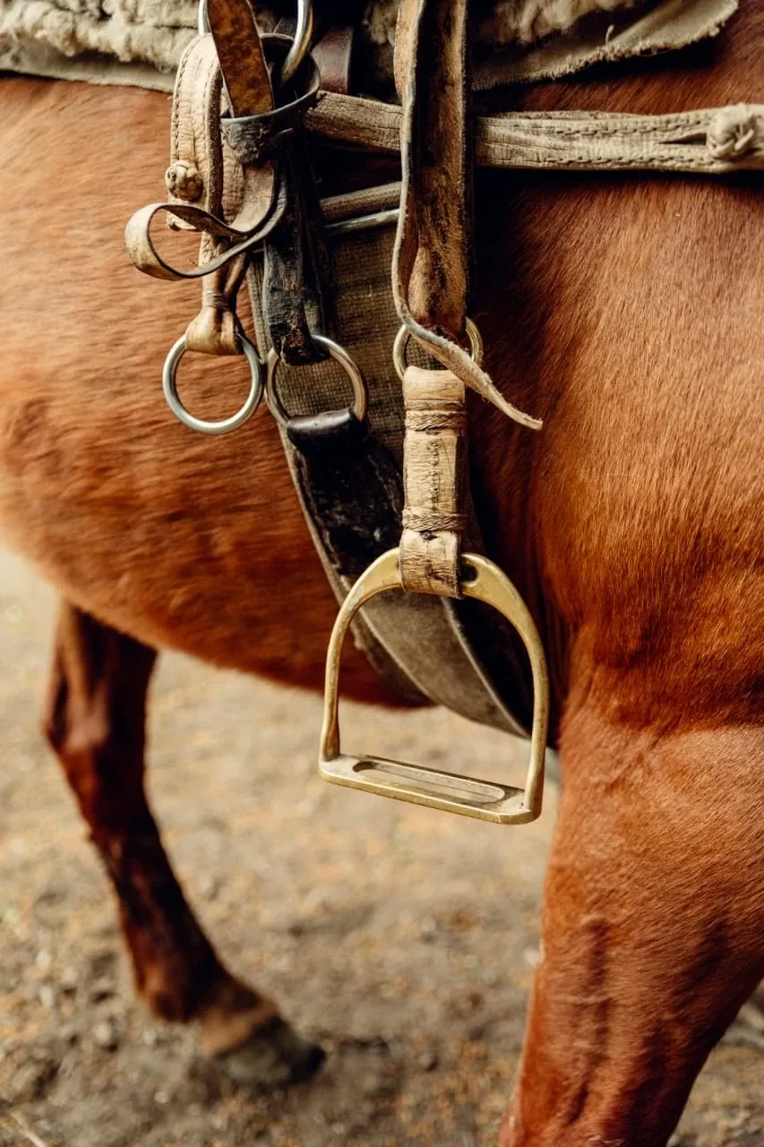 Paisaje de montaña 16