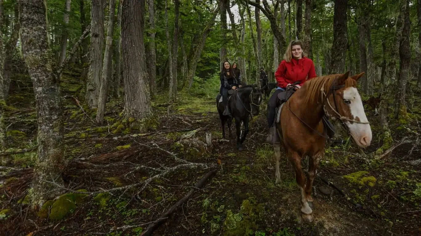 Paisaje de montaña 1
