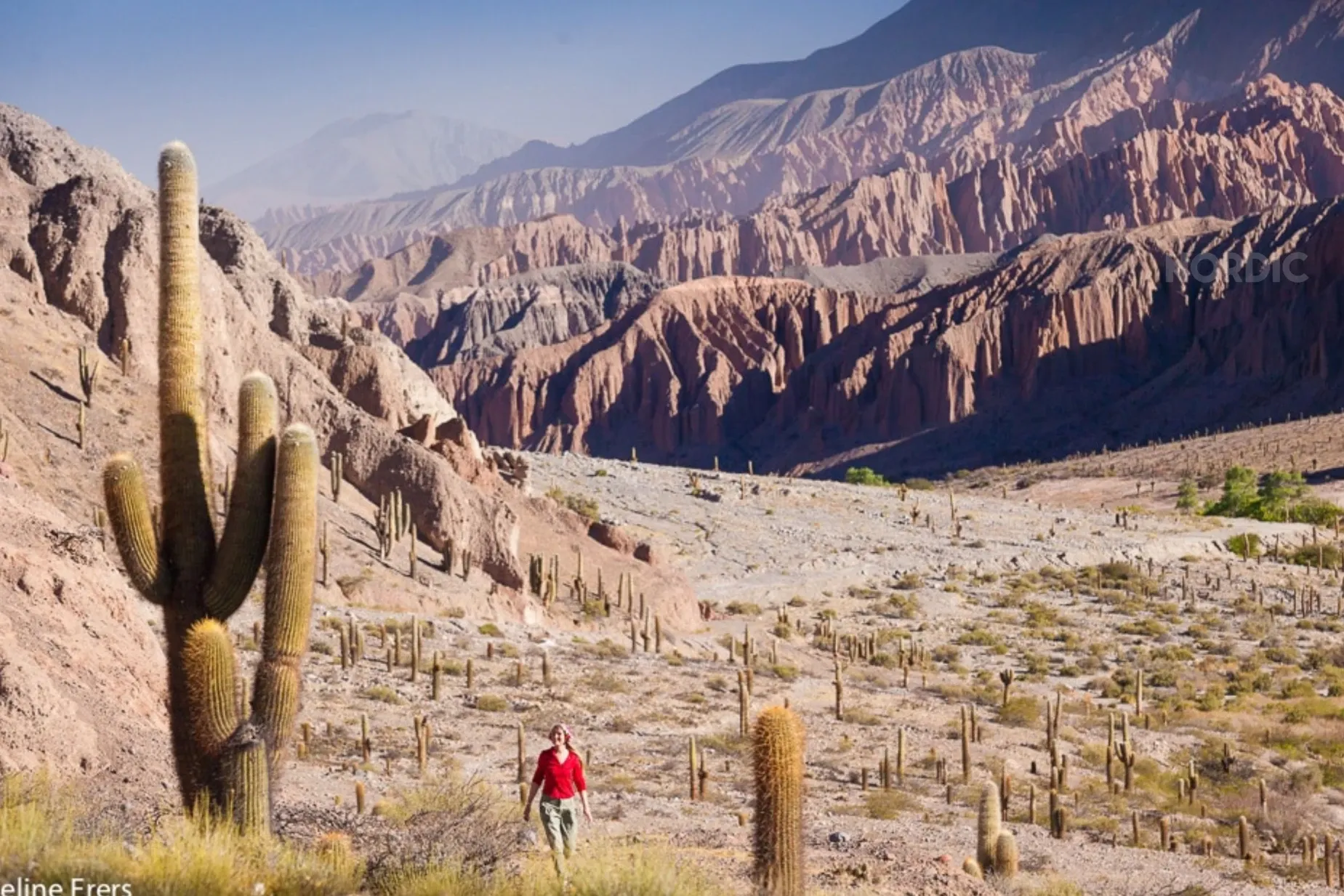 Paisaje de montaña 3