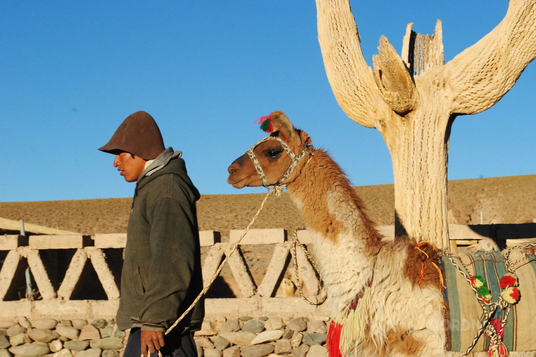 Paisaje de montaña 7