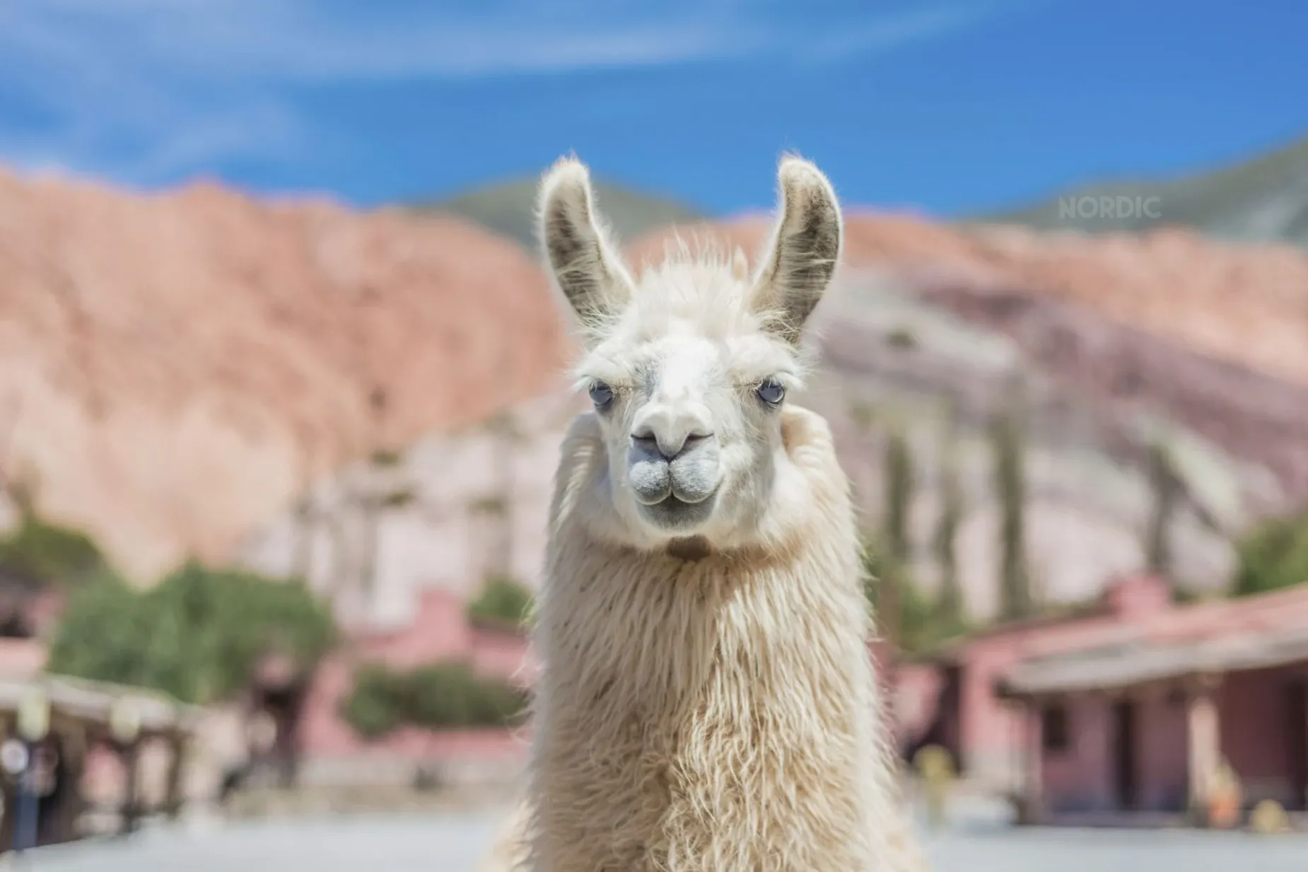 Paisaje de montaña 12