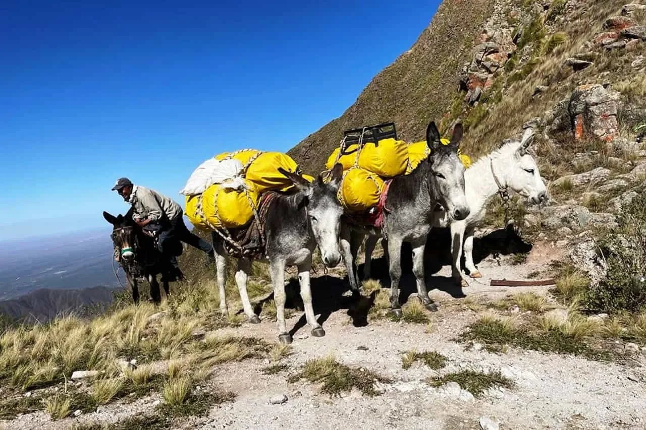 Paisaje de montaña 12