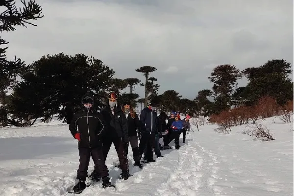 Paisaje de montaña 8