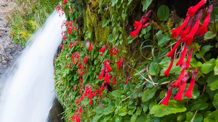 Paisaje de montaña 6